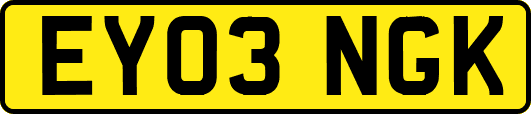 EY03NGK