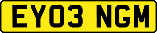 EY03NGM