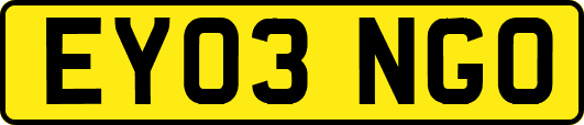 EY03NGO