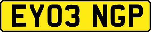 EY03NGP