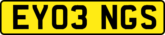 EY03NGS
