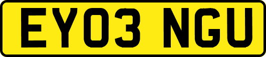 EY03NGU