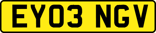 EY03NGV