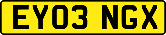 EY03NGX