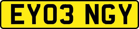 EY03NGY