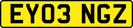 EY03NGZ