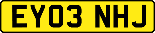 EY03NHJ