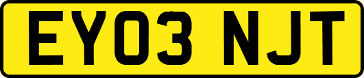EY03NJT