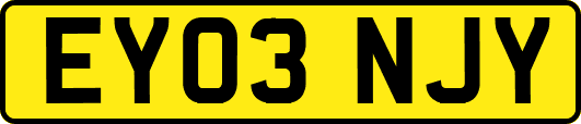 EY03NJY