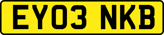 EY03NKB