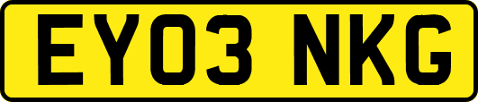 EY03NKG