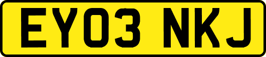 EY03NKJ