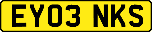 EY03NKS