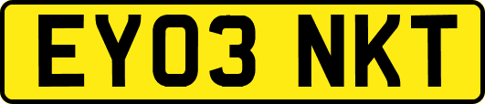 EY03NKT