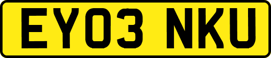 EY03NKU