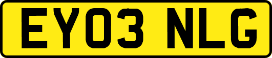 EY03NLG