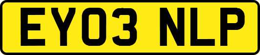EY03NLP
