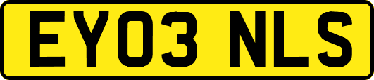 EY03NLS