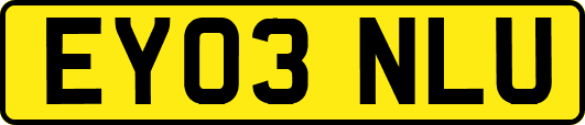 EY03NLU