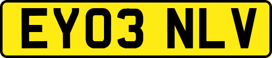 EY03NLV