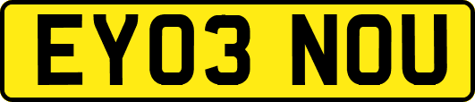 EY03NOU
