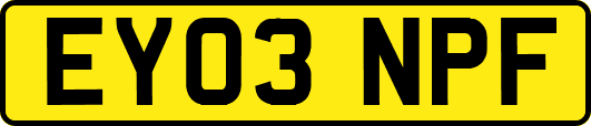 EY03NPF