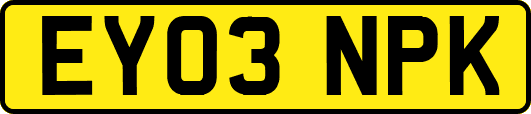EY03NPK
