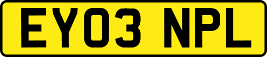 EY03NPL