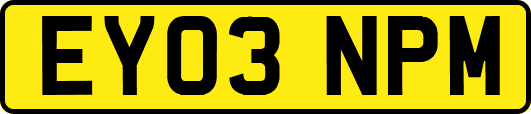 EY03NPM