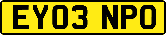 EY03NPO