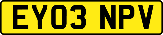 EY03NPV