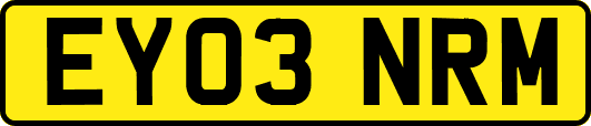 EY03NRM