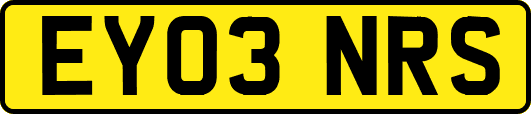EY03NRS