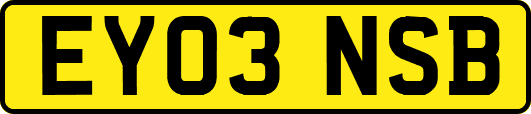 EY03NSB