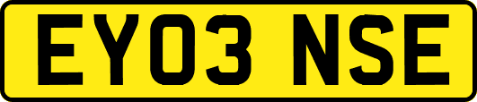 EY03NSE