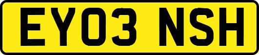 EY03NSH