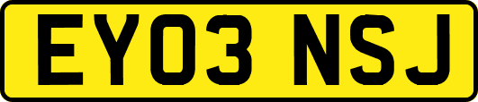 EY03NSJ