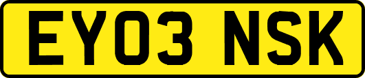 EY03NSK