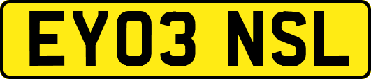 EY03NSL