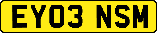 EY03NSM
