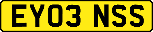 EY03NSS