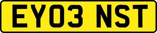 EY03NST