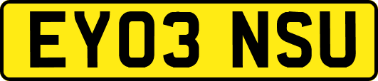 EY03NSU