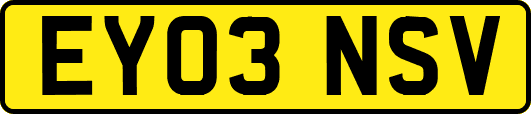 EY03NSV