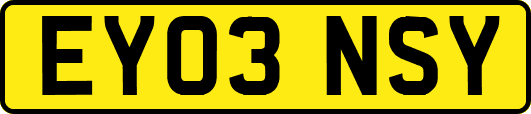 EY03NSY
