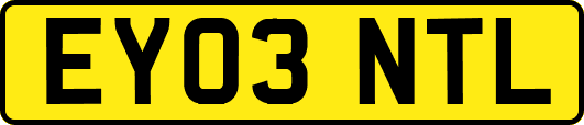 EY03NTL