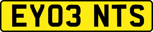 EY03NTS