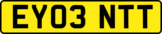EY03NTT