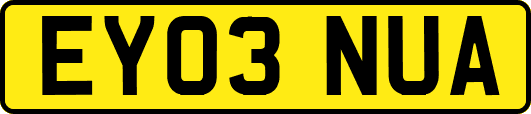 EY03NUA