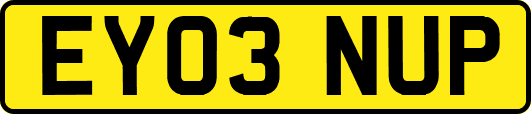 EY03NUP